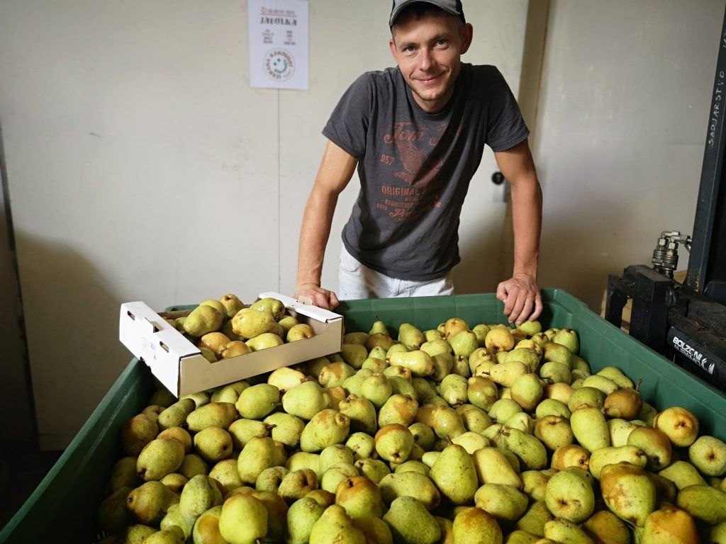 Sandiarstvo Krepfl 4 | ProFruit Machinery