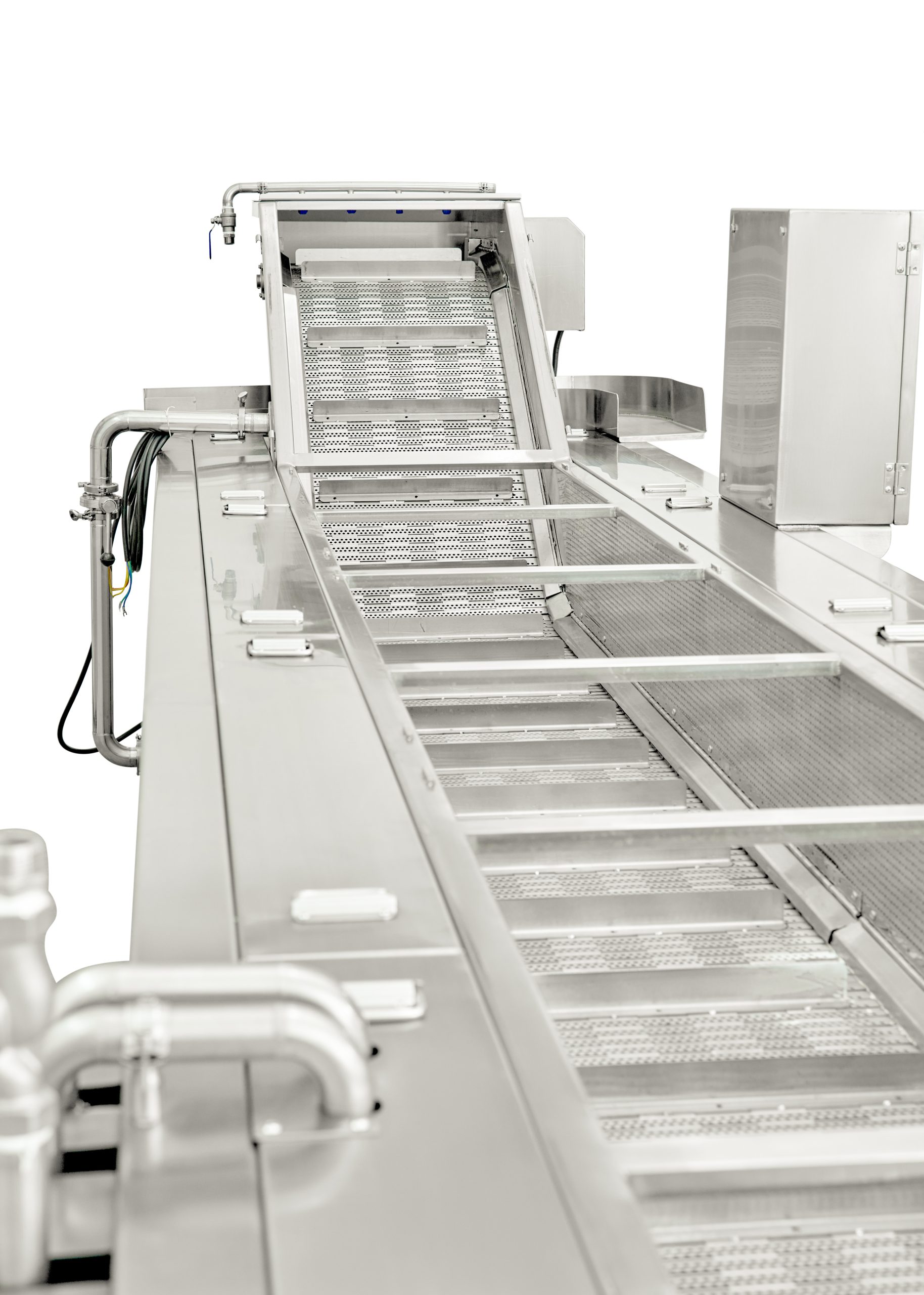 Industrial Blancher for Fruits & Vegetables with conveyer