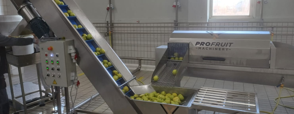 Fruit surplus is an opportunity