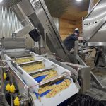ProFruit Machinery Expands to North America 13 | ProFruit Machinery