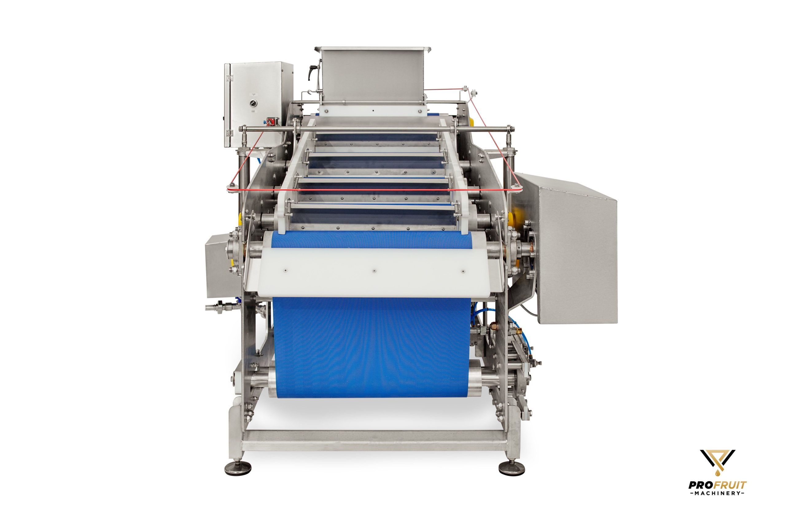 Belt press for fruits, vegetables, some berries | ProFruit Machinery