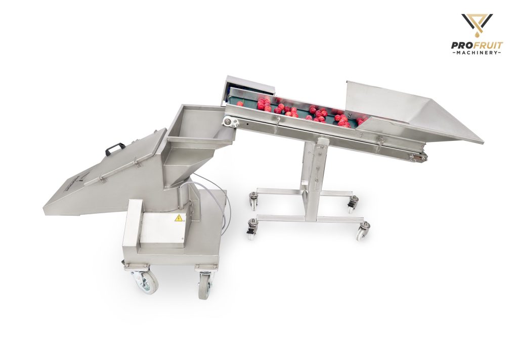 Berry and Fruit Crusher | ProFruit Machinery