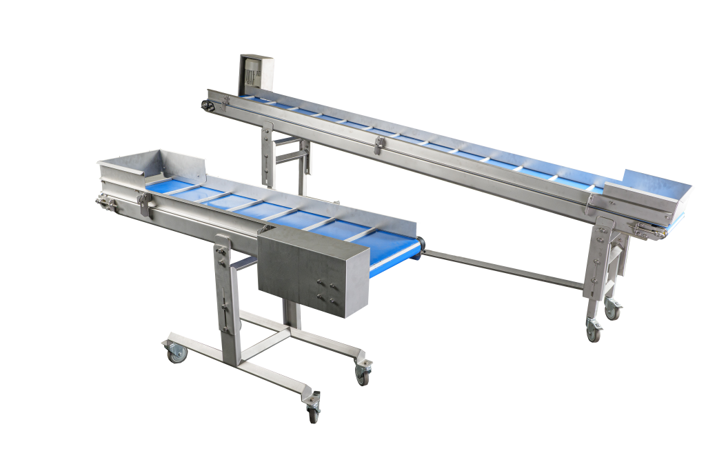 sorting conveyor | ProFruit Machinery