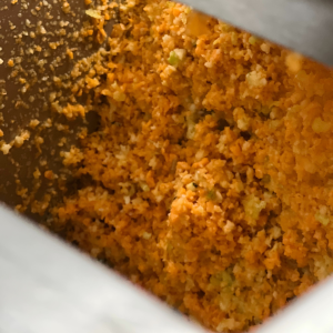 NUTRISEED MACHINERY TESTING