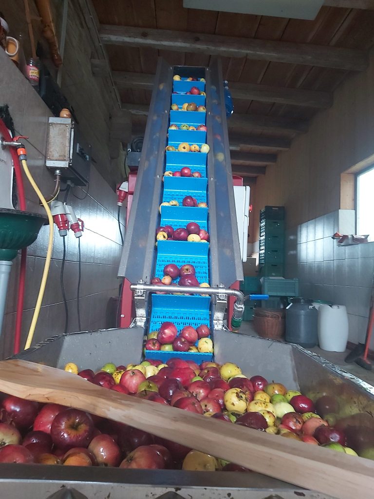 profruit machinery juice processing 14 | ProFruit Machinery